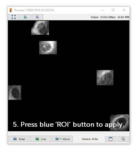 image1ixxu.png