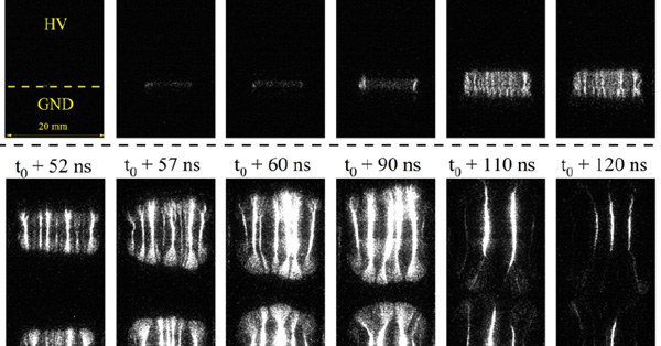article primary image