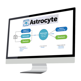Astrocyte