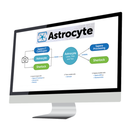 Astrocyte