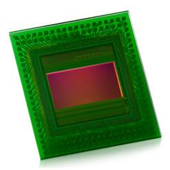 Snappy (Legacy)