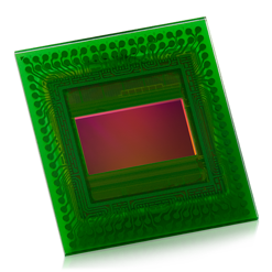 Snappy (Legacy)
