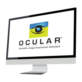 Ocular