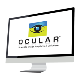 Ocular