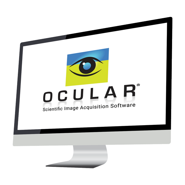 Ocular