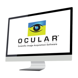 Ocular