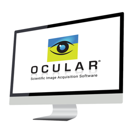Ocular