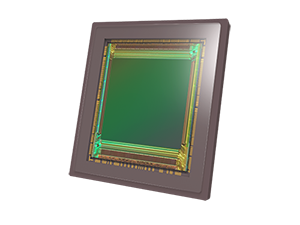 Emerald-XL-1.png