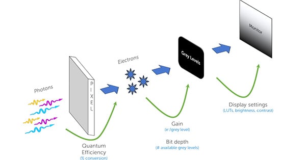 article primary image