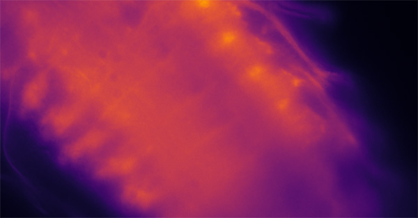 article primary image