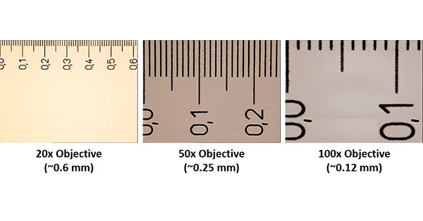 article primary image
