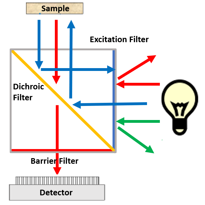 Filter-cube.png