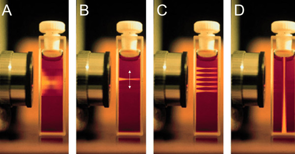 Introduction To Light Sheet Microscopy | Teledyne Vision Solutions