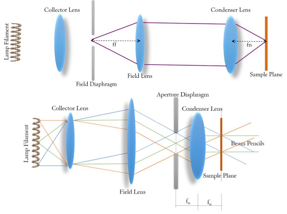 Köhler Illumination | Teledyne Vision Solutions