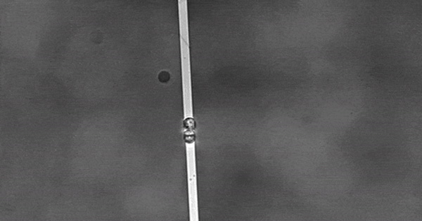 article primary image