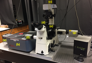 Microscope config.png