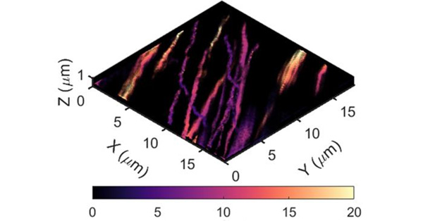 article primary image