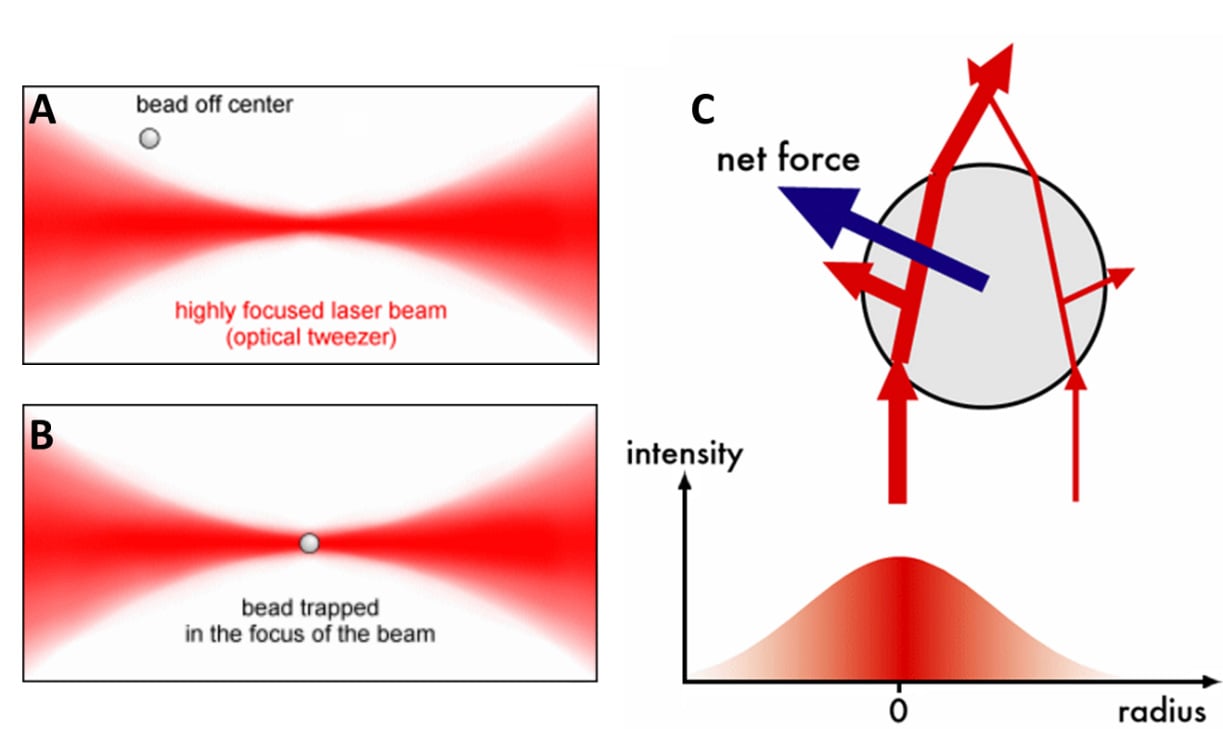 optical tweezers