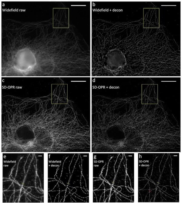 Example-images-from-SR-SDCM.jpg