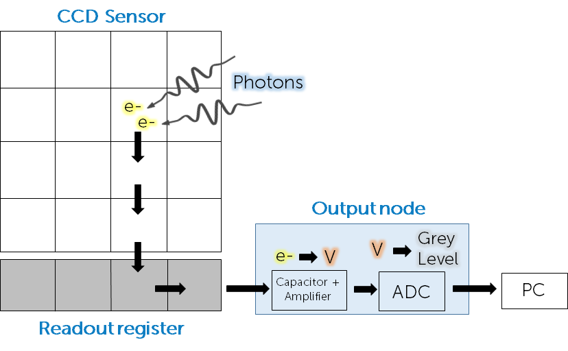 Types Of Camera Sensor_images-2.png