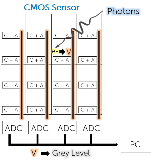 Types Of Camera Sensor_images-6.png
