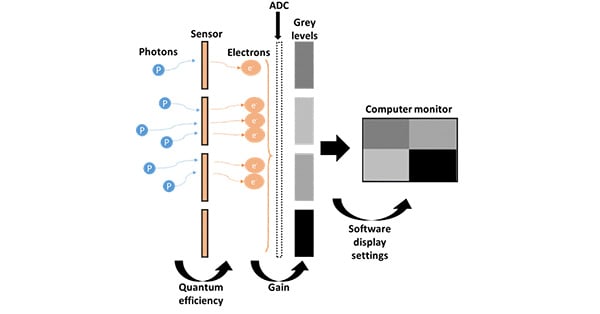 article primary image
