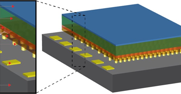 article primary image