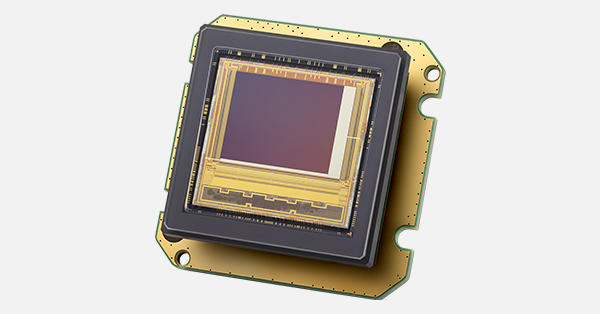 article primary image
