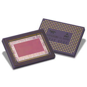 TDY-e2v_Snappy_Wide-font_back_no-Ruler_shadow_crop_600x600-300x300.png
